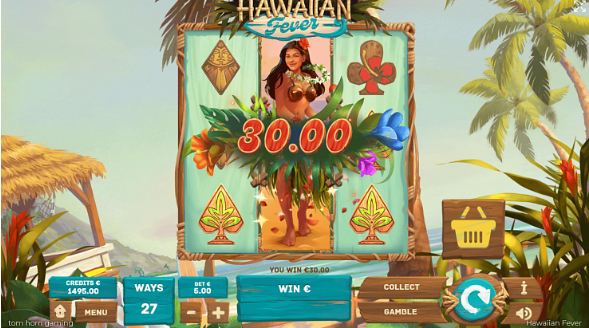 Téma a symboly Hawaiian Fever